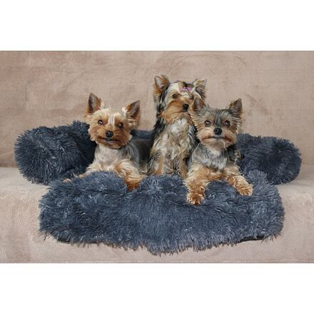 Petsofa pelech pre psa tmavo šedá