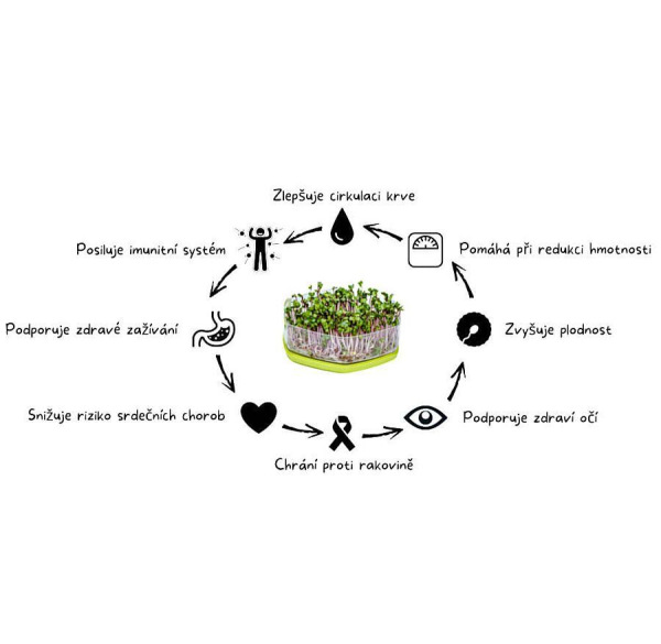 Mungo klíčiaca miska antracitová 3