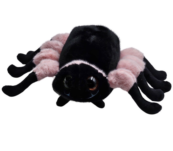 Farebný pavúčik 3