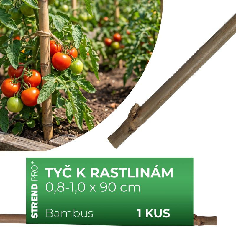 Tyč Garden KBT 900/8-10 mm, bal. 10 ks, bambus, oporná k rastlinám 1