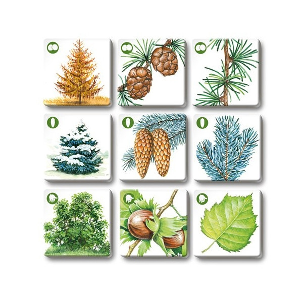 Hra PEXETRIO Stromy 3