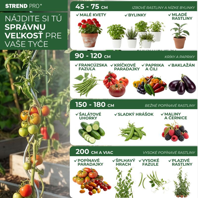 Tyč Garden SB 16/1800 mm, oceľ/plast, zelená, oporná k rastlinám a paradajkám 3