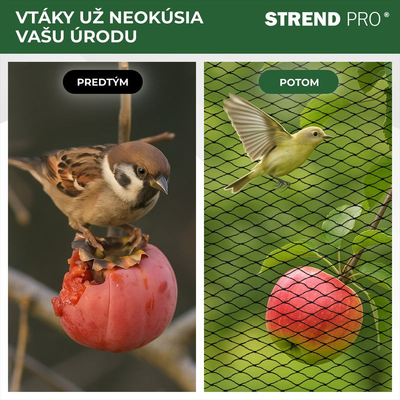 Sieť Strend Pro, 12x25 m, oko 25 mm, proti vtákom, PE 1