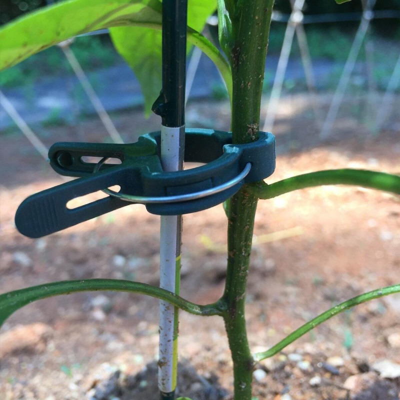 PlantClip 20 upínacie spony na rastliny 7