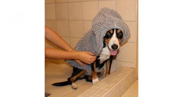 Merco Dry Small uterák pre psa šedý
