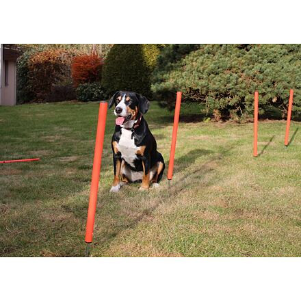 Dog Trainer agility prekážky pre psov 13