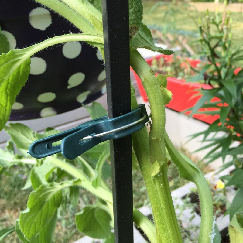 PlantClip 20 upínacie spony na rastliny 1