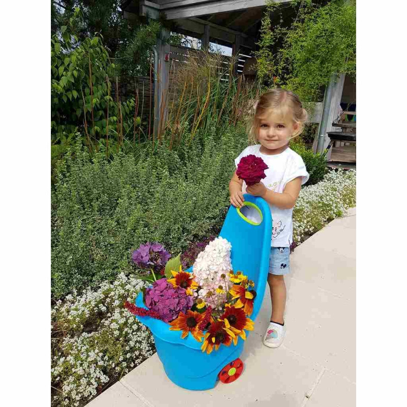 Detský multifunkčný vozík BAYO Sedmokráska 60 cm červený 2