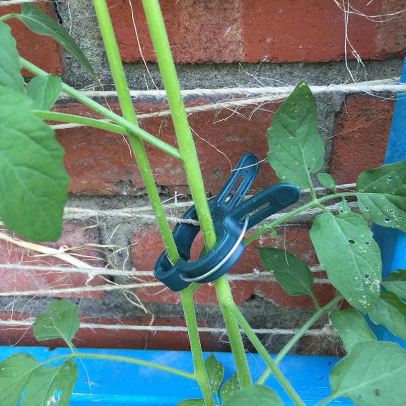 PlantClip 20 upínacie spony na rastliny 6