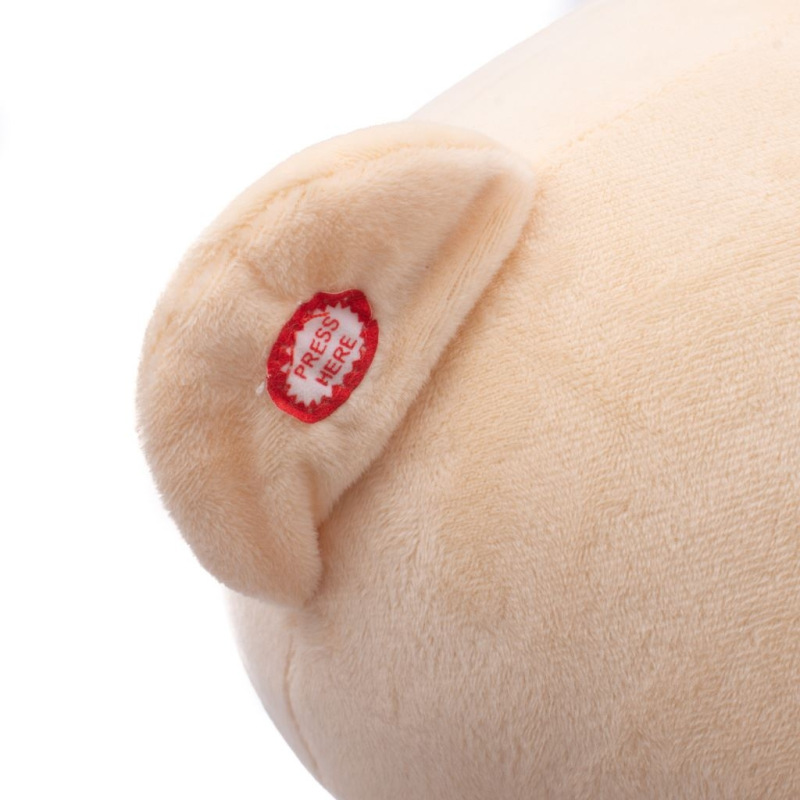 Hojdacia hračka s melódiou PlayTo medvedík pruhovaný 5