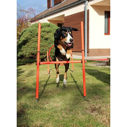 Dog Trainer agility prekážky pre psov 8