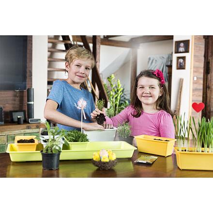 Minigarden 60 Spring Mix kvetináč 2