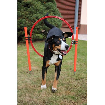 Dog Trainer agility prekážky pre psov 6