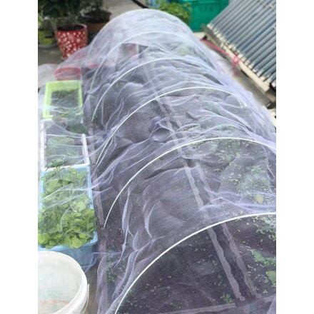 Merco Garden Mesh sieť proti hmyzu a vtákom 3 x 5 m 1