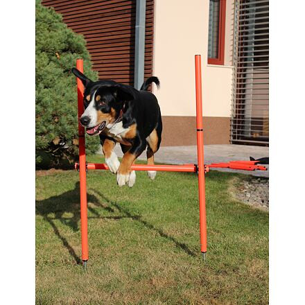 Dog Trainer agility prekážky pre psov 11