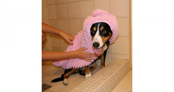 Merco Dry Small uterák pre psa ružová