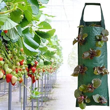 Merco Hang Grow Bag 8 závesný kvetináč 2