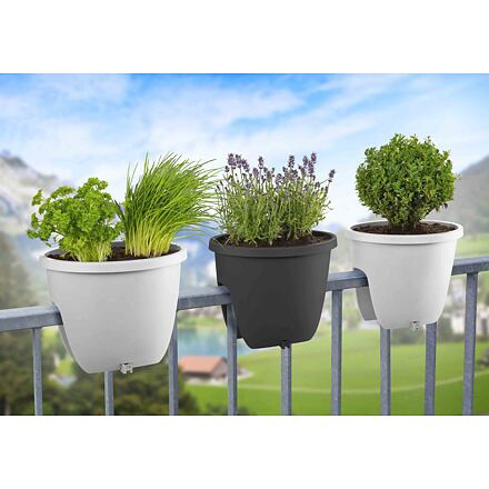 Balconia OVI balkónový kvetináč antracitová 4