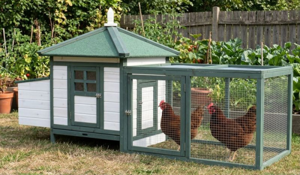 Kurín Strend Pro, pre hydinu, so strechou, 196x76.5x98 cm 1