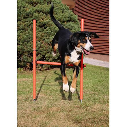 Dog Trainer agility prekážky pre psov 1