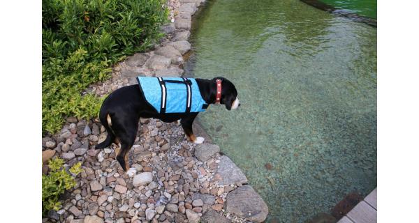 Merco Dog Swimmer plávacia vesta pre psa modrá, veľ. XXL