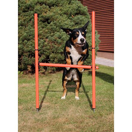 Dog Trainer agility prekážky pre psov 12
