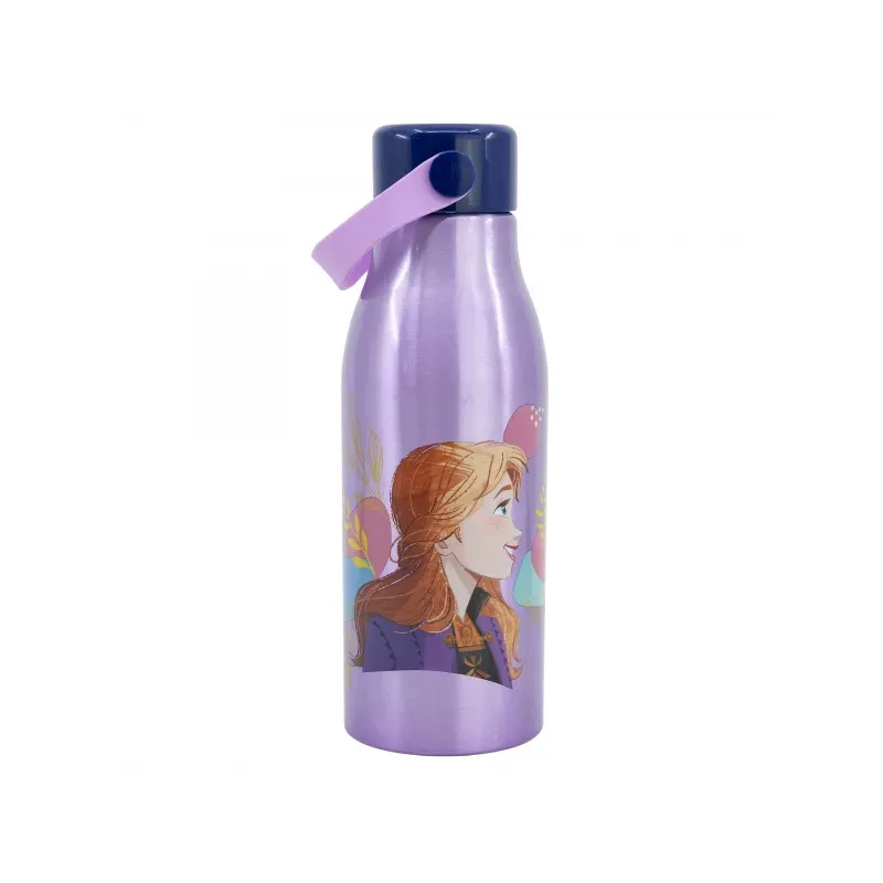 STOR Hliníková fľaša s rúčkou DISNEY FROZEN, 760ml, 74261