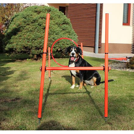 Dog Trainer agility prekážky pre psov 4