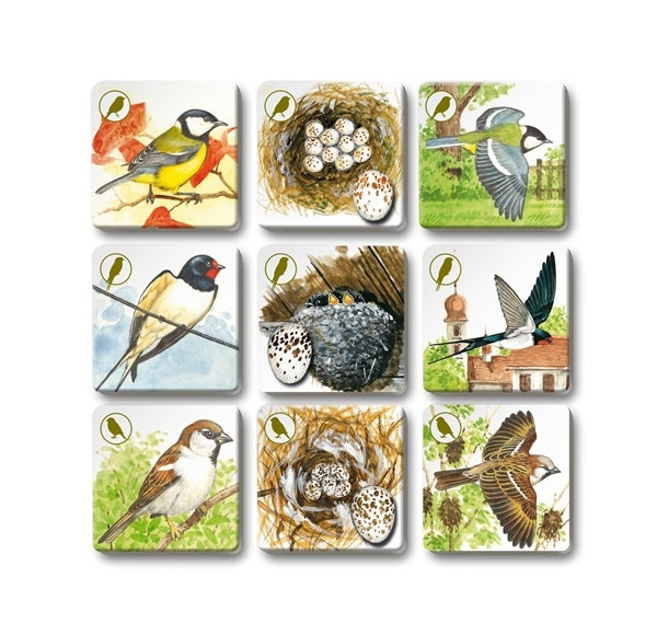 Hra PEXETRIO plus Vtáky 3