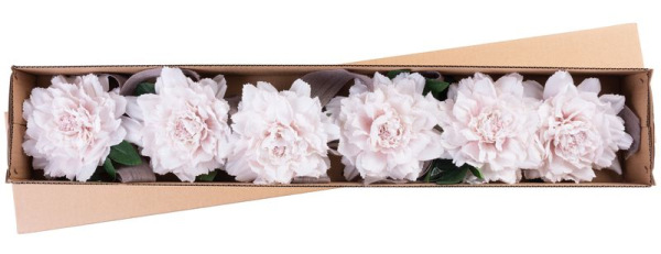 Kvet MagicHome, pivónia, so stuhou, tmavo ružová stonka, veľkosť kvetu: 17 cm, dĺžka kvetu: 37 cm, b 1
