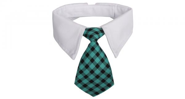 Merco Gentledog kravata pre psov tyrkysová, veľ. L