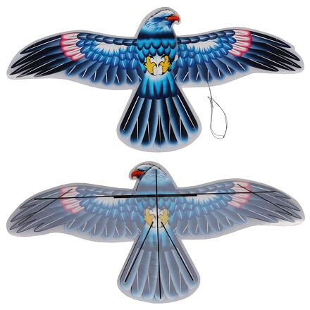 Eagle Kite lietajúci drak 2