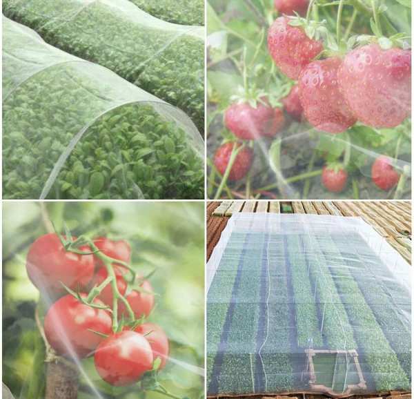 Garden Mesh sieť proti hmyzu a vtákom 2,5 x 6 m 3