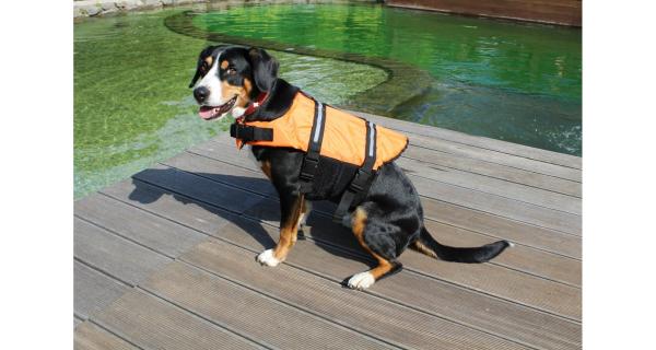 Merco Dog Swimmer plávacia vesta pre psa oranžová, veľ. XL