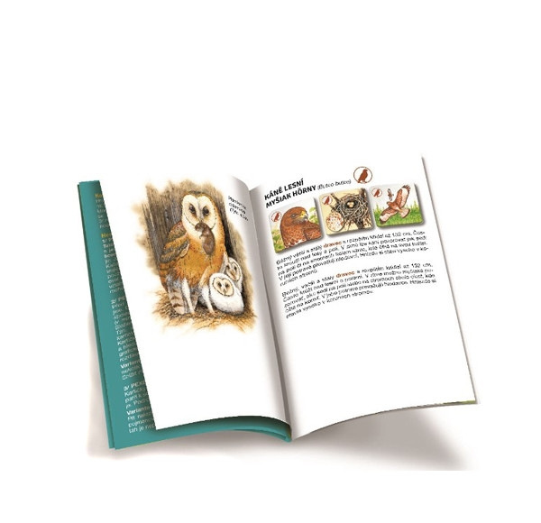 Hra PEXETRIO plus Vtáky 5