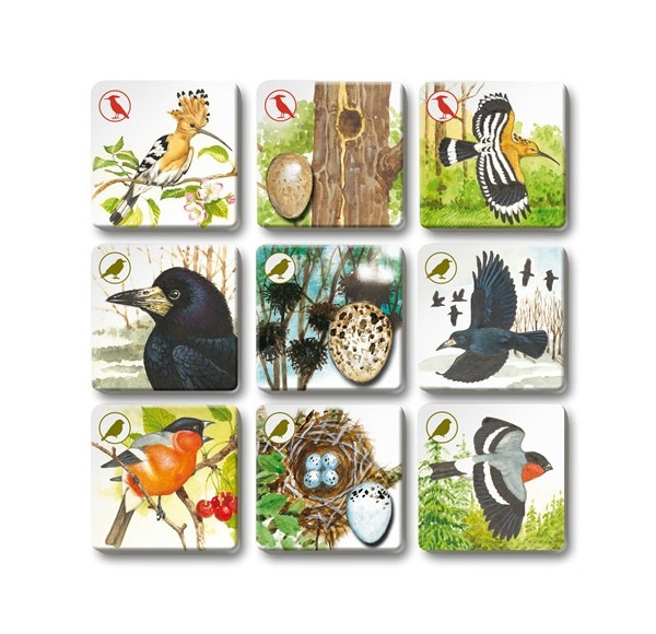 Hra PEXETRIO plus Vtáky 2