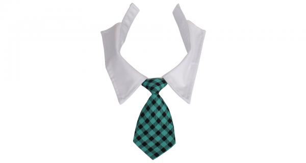 Merco Gentledog kravata pre psov tyrkysová, veľ. L