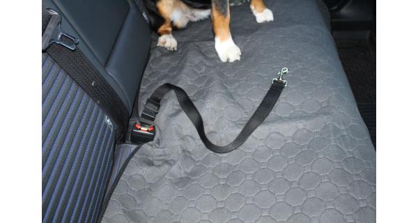 Merco Safer 3.0 pás do auta pre psov