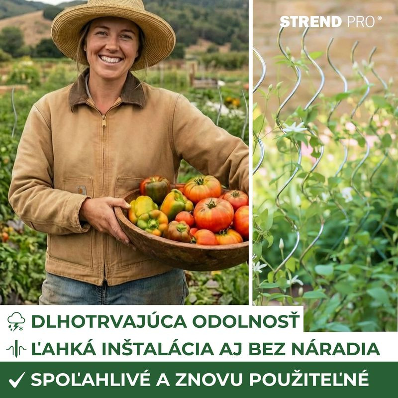 Tyč GS1 1800/6,5 mm, špirálová, drôtená Zn, oporná k rastlinám a paradajkám 4
