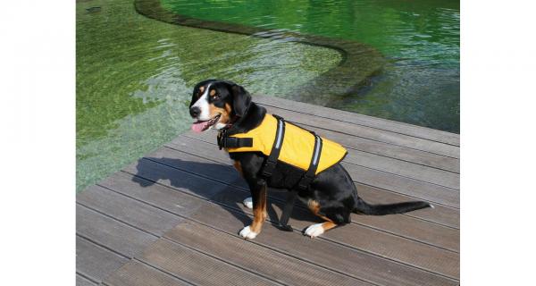 Merco Dog Swimmer plávacia vesta pre psa žltá, veľ. S