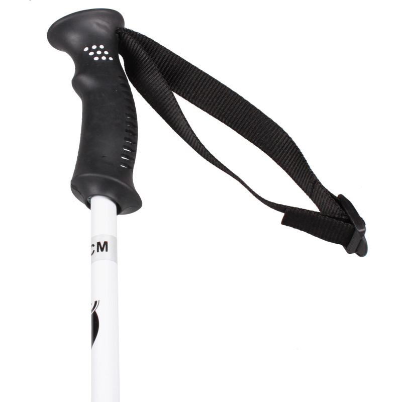 Funky JR juniorské zjazdové palice 2