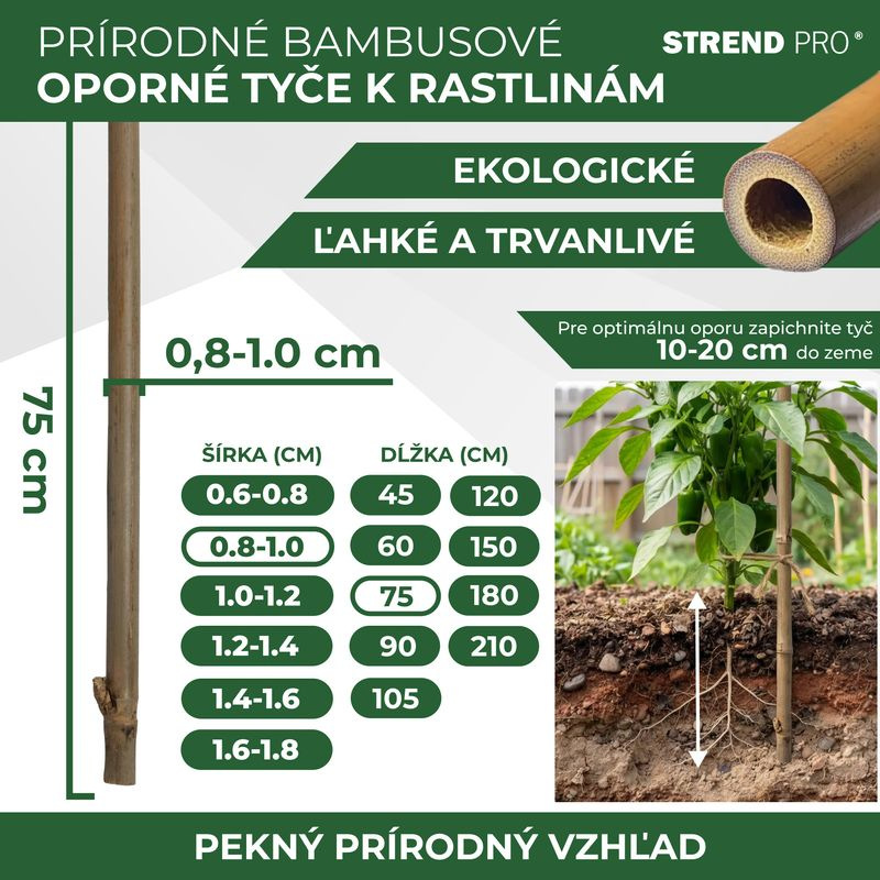 Tyč Garden KBT 750/8-10 mm, bal. 10 ks, bambus, oporná k rastlinám 2