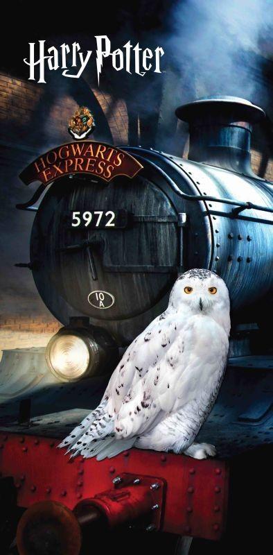 JERRY FABRICS Osuška Harry Potter Hedwig 70/140