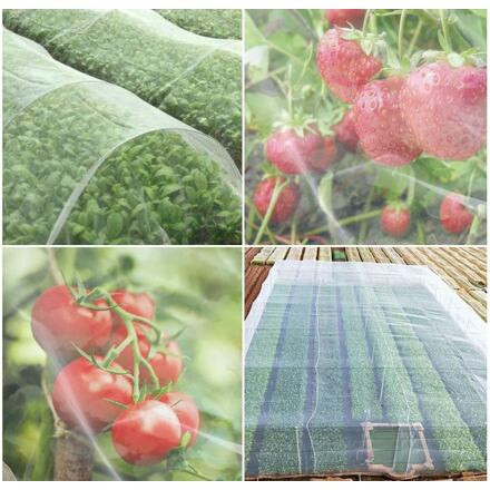 Merco Garden Mesh sieť proti hmyzu a vtákom 3 x 8 m 4