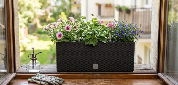 Kvetináč RATO Case 500, antracit, CWS, so zavlažovacím systémom 1