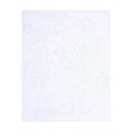 ASTRA Maľovanie podľa čísel IN PEONIES, na ráme, 40x50cm, 801022906