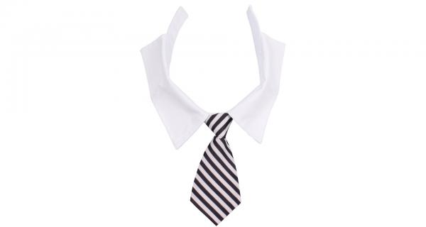 Merco Gentledog kravata pre psov čierna-biela. veľ. L
