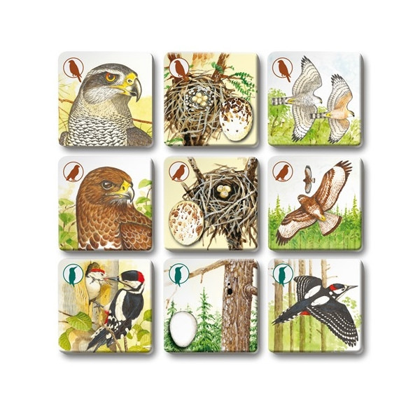 Hra PEXETRIO plus Vtáky 1