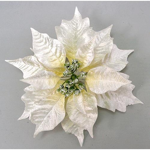 Kvet Poinsettia Clipon23, krémová, 23 cm, bal. 12 ks