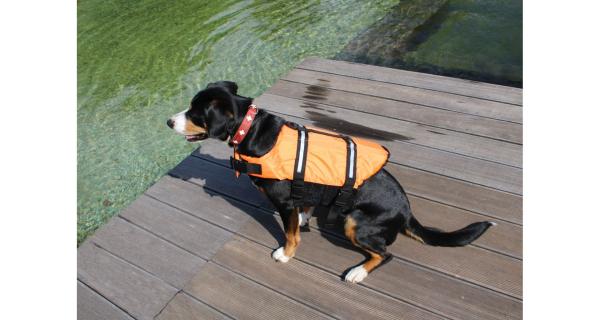 Merco Dog Swimmer plávacia vesta pre psa oranžová, veľ. XXL